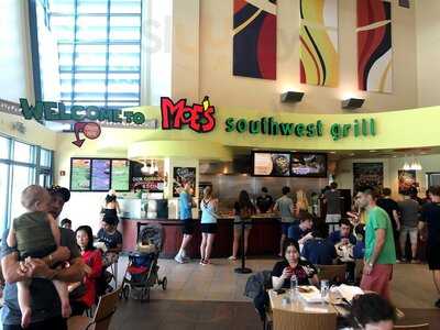 Moe's Southwest Grill, Orlando