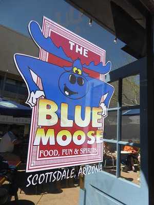 Blue MOOSE, Scottsdale