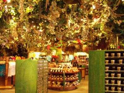 Rainforest Cafe, Orlando