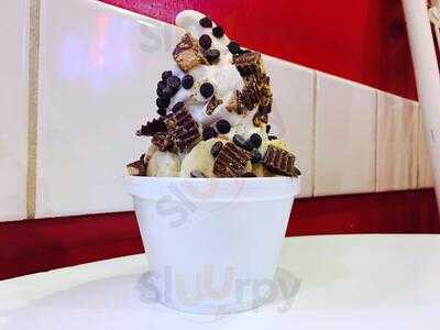 Desert Swirl Frozen Yogurt