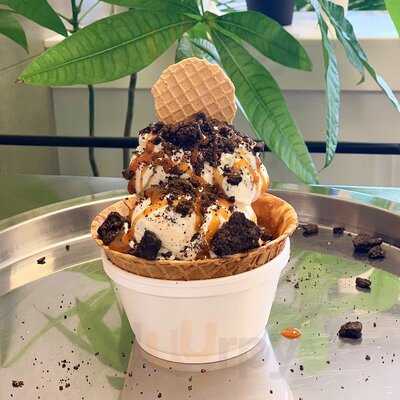 PURO - Ice Cream Factory, Fort Lauderdale