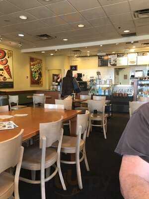 Einstein Bros. Bagels, Scottsdale