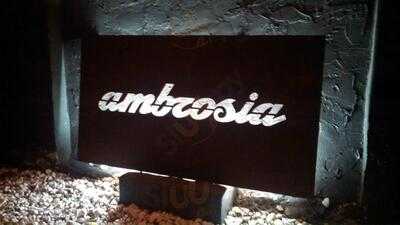 Ambrosia, Houston