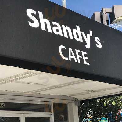 Shandy's Heights, Houston