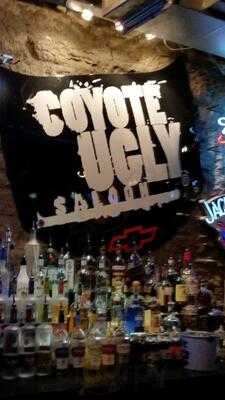 Coyote Ugly Nashville, Nashville