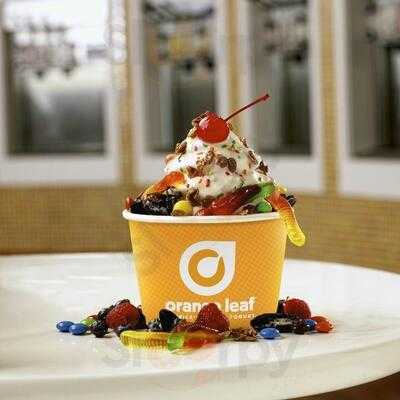 Orange Leaf Frozen Yogurt, Houston