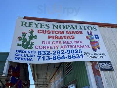 Reyes Nopalitos, Houston