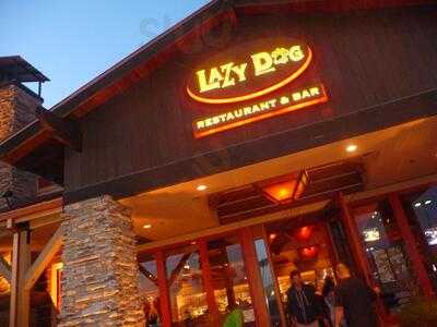 Lazy Dog Restaurant & Bar