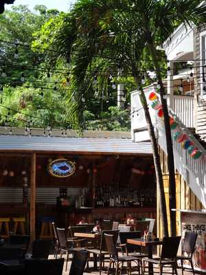 Smokin' Tuna Saloon, Key West