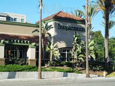 Souplantation