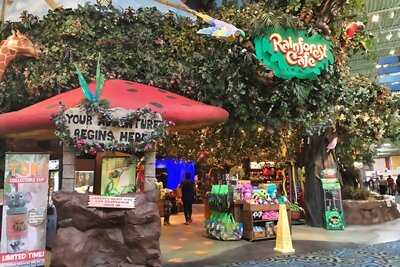 Rainforest Cafe, Katy