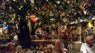 Rainforest Cafe