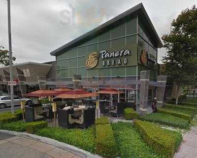 Panera Bread