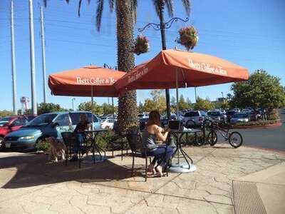 Peets Coffee & Tea, Roseville