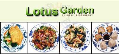 Lotus Garden Restaurant