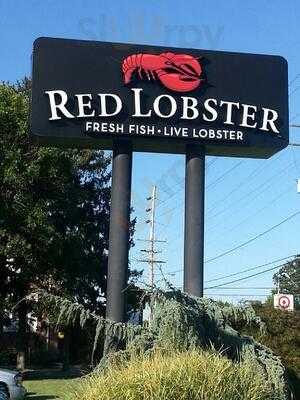 Red Lobster