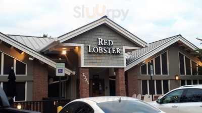 Red Lobster, Sugar Land