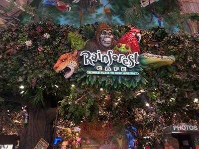 Rainforest Cafe, Tempe