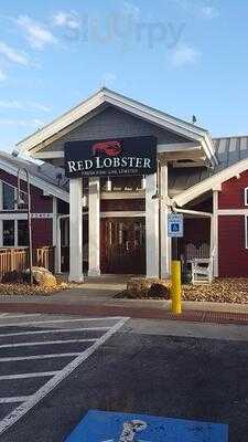 Red Lobster