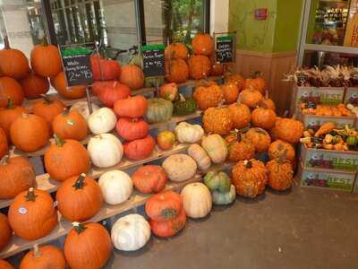 Whole Foods Market, Hilton Head