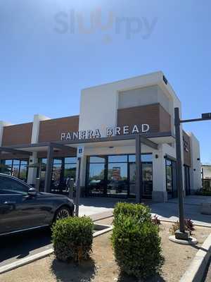 Panera Bread