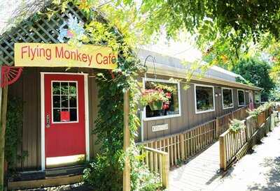 Flying Monkey Cafe, Champaign