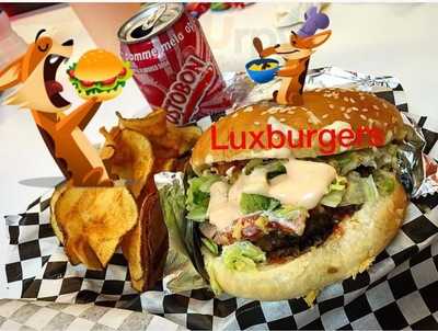 Lux Burgers Inc, Coral Springs