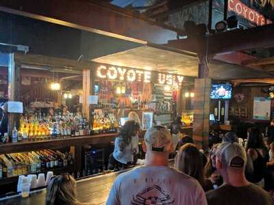 Coyote Ugly