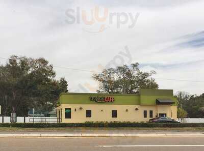 Tropical Smoothie Cafe, Bradenton