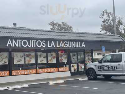 Antojitos La Lagunilla, Santa Ana