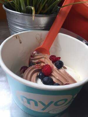 Myo Yogurt