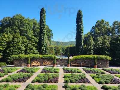 The Savory Thyme Cafe