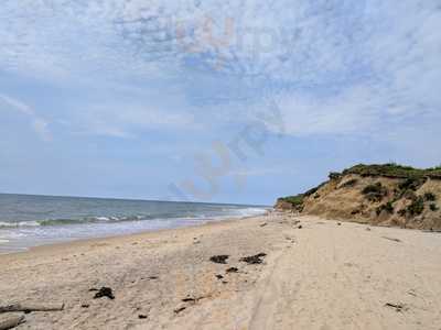 Beacheesy, Montauk