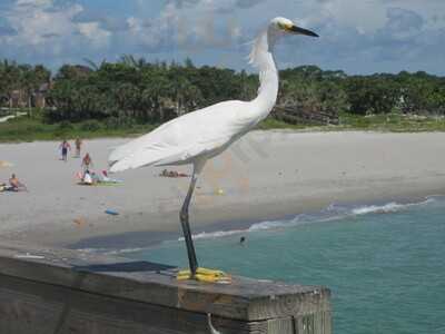 Sharky's On The Pier