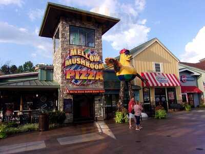 Mellow Mushroom, Pigeon Forge