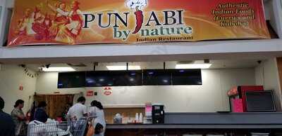 Punjabi By Nature