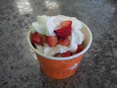 FroYo Twist Frozen Yogurt, Mentor