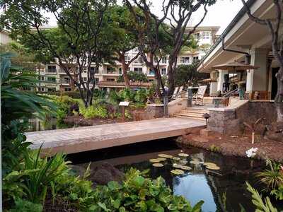 Aunties Kitchen, Lahaina