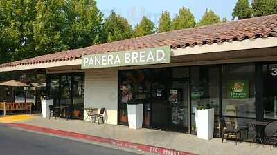 Panera Bread