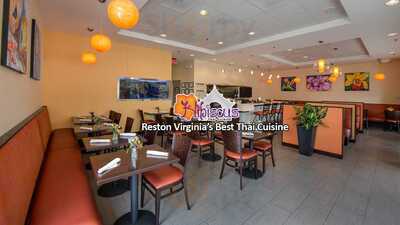 Hibiscus Thai Cuisine