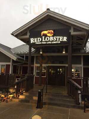 Red Lobster, Gurnee