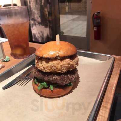 Hopdoddy Burger Bar, Webster