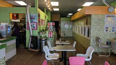 YoTown Cafe Frozen Yogurt, Lake Oswego