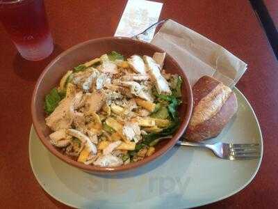 Panera Bread, Webster