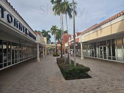 Orange Leaf Miromar Outlets, Estero