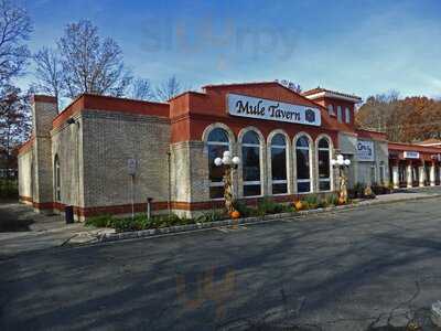 Mule Tavern Bar & Grill, Parsippany