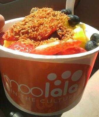 Moolala Frozen Yogurt, Merrick