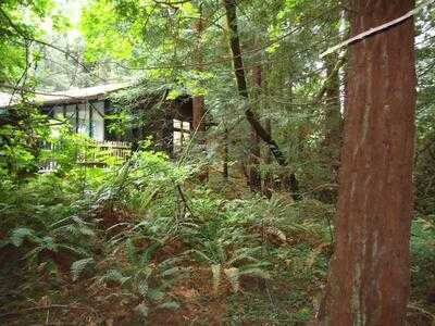 Muir Woods Trading, Mill Valley