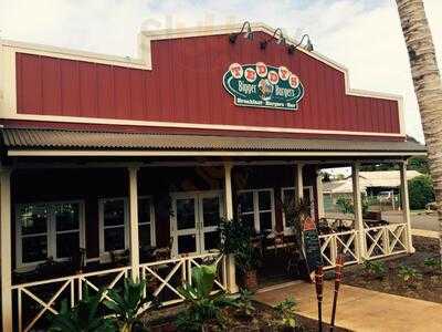 Teddy's Bigger Burgers - Haleiwa