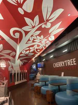 Cherry Tree Frozen Yogurt, Mamaroneck